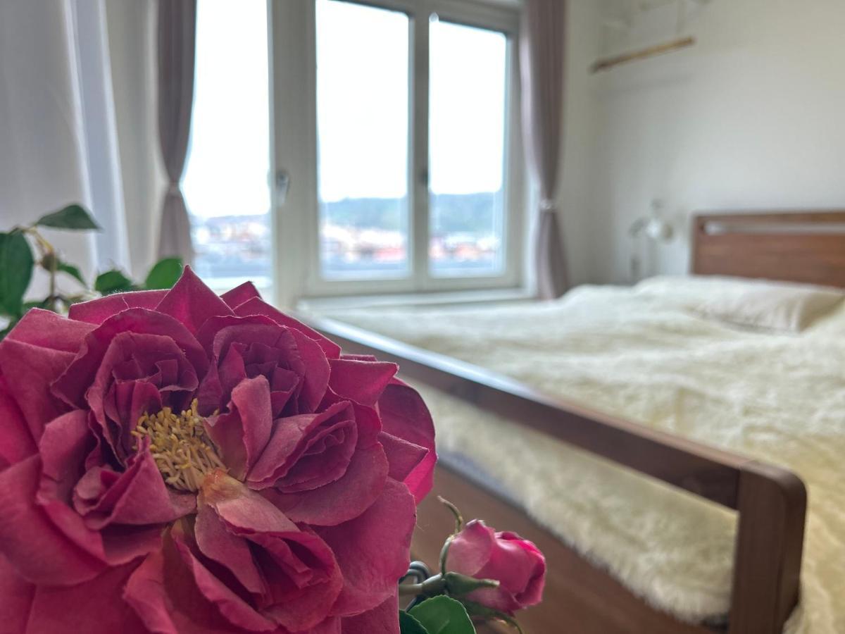 Cool Studio Apartment Prag